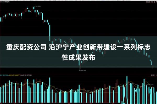 重庆配资公司 沿沪宁产业创新带建设一系列标志性成果发布