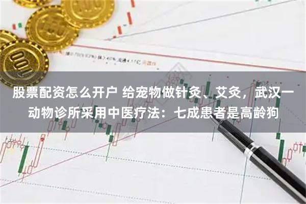 股票配资怎么开户 给宠物做针灸、艾灸，武汉一动物诊所采用中医疗法：七成患者是高龄狗